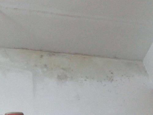 低樓層房屋墻壁出現(xiàn)返潮現(xiàn)象，有哪些解決辦法?